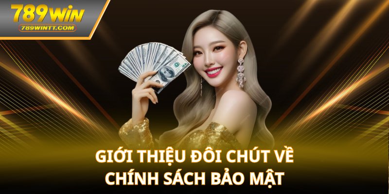 Giới thiệu đôi chút về chính sách bảo mật