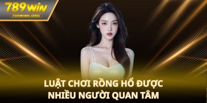 Luật chơi rồng hổ được nhiều người quan tâm